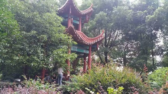 凉亭开总结大会